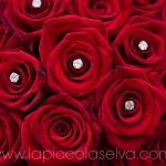 matrimonio con rose rosse
