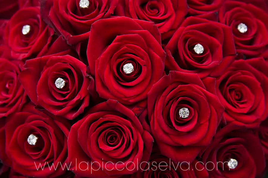 matrimonio con rose rosse